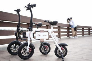 樂行P1電動車低價風暴，雷軍震驚引發行業熱議