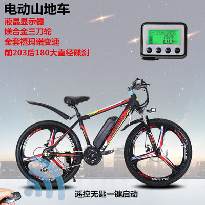 電動(dòng)自行車市場 銷售現(xiàn)狀與未來趨勢